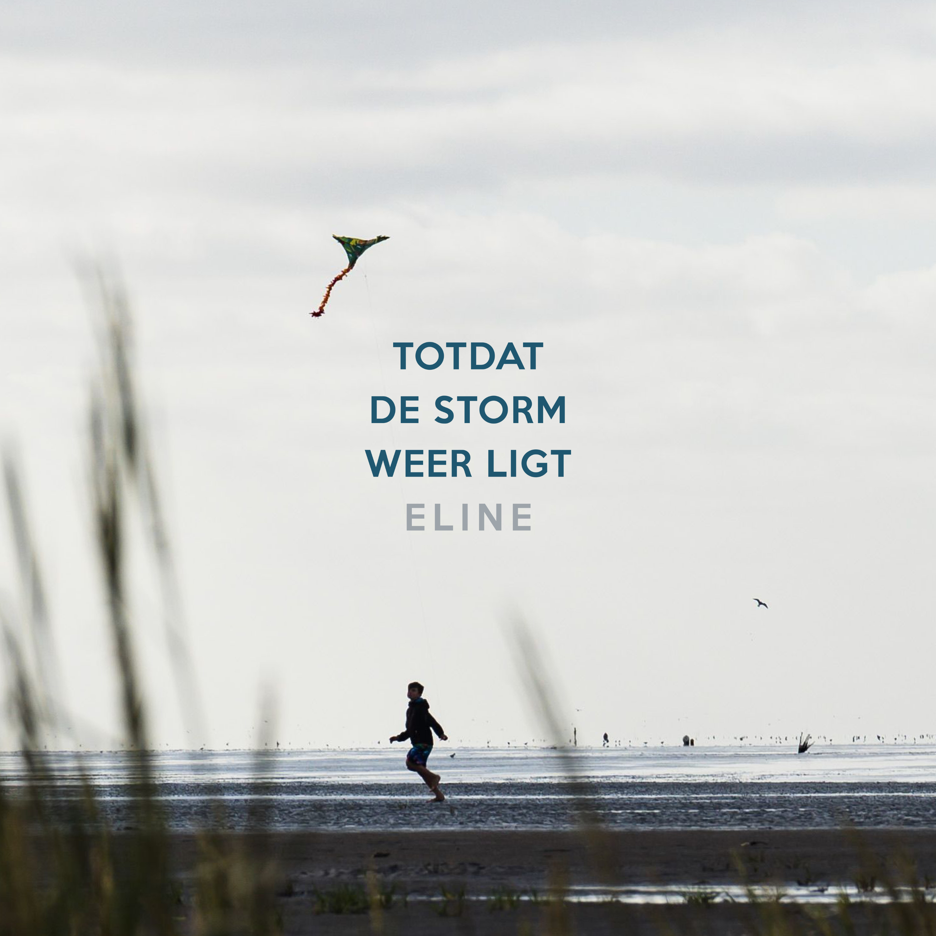 Totdat de storm weer ligt